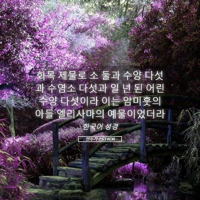 Picture 05 - 민수기 7:53 KOR - 화목 제물로 소 둘과 수양 다섯과 - Bible Verse Picture