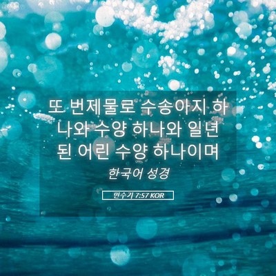 Picture 05 - 민수기 7:57 KOR - 또 번제물로 수송아지 하나와 수양 - Bible Verse Picture