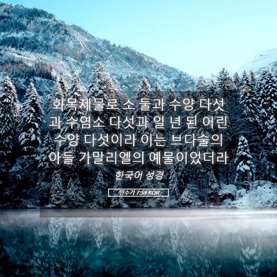 Picture 05 - 민수기 7:59 KOR - 화목제물로 소 둘과 수양 다섯과 - Bible Verse Picture