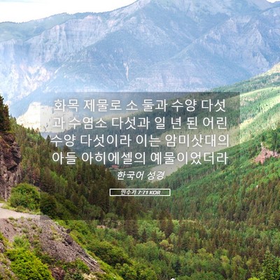 Picture 05 - 민수기 7:71 KOR - 화목 제물로 소 둘과 수양 다섯과 - Bible Verse Picture
