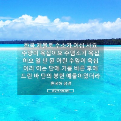 Picture 05 - 민수기 7:88 KOR - 화목 제물로 수소가 이십 사요 - Bible Verse Picture