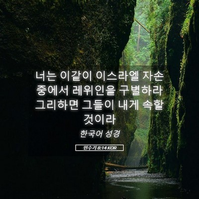 Picture 05 - 민수기 8:14 KOR - 너는 이같이 이스라엘 자손 중에서 - Bible Verse Picture