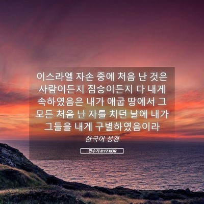 Picture 05 - 민수기 8:17 KOR - 이스라엘 자손 중에 처음 난 것은 - Bible Verse Picture