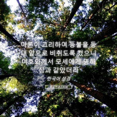 Picture 05 - 민수기 8:3 KOR - 아론이 그리하여 등불을 등대 앞으로 - Bible Verse Picture