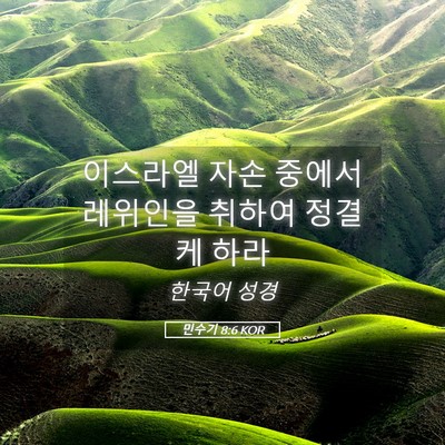 Picture 05 - 민수기 8:6 KOR - 이스라엘 자손 중에서 레위인을 - Bible Verse Picture