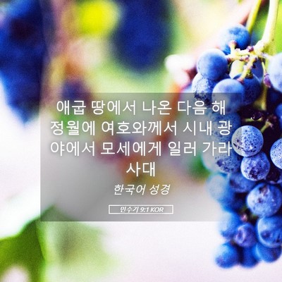 Picture 05 - 민수기 9:1 KOR - 애굽 땅에서 나온 다음 해 정월에 - Bible Verse Picture