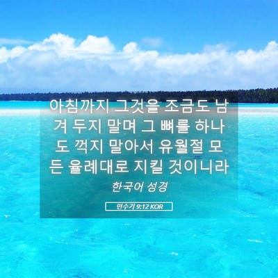 Picture 05 - 민수기 9:12 KOR - 아침까지 그것을 조금도 남겨 두지 - Bible Verse Picture