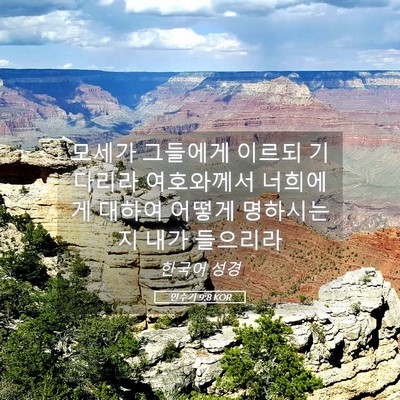 Picture 05 - 민수기 9:8 KOR - 모세가 그들에게 이르되 기다리라 - Bible Verse Picture