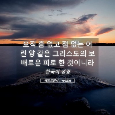 Picture 05 - 베드로전서 1:19 KOR - 오직 흠 없고 점 없는 어린 양 같은 - Bible Verse Picture