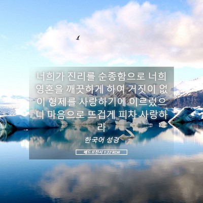 Picture 05 - 베드로전서 1:22 KOR - 너희가 진리를 순종함으로 너희 - Bible Verse Picture