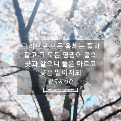 Picture 05 - 베드로전서 1:24 KOR - 그러므로 모든 육체는 풀과 같고 그 - Bible Verse Picture
