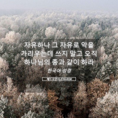 Picture 05 - 베드로전서 2:16 KOR - 자유하나 그 자유로 악을 가리우는데 - Bible Verse Picture