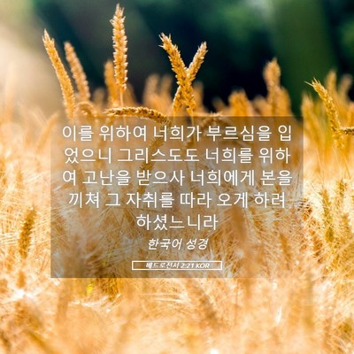 Picture 05 - 베드로전서 2:21 KOR - 이를 위하여 너희가 부르심을 - Bible Verse Picture