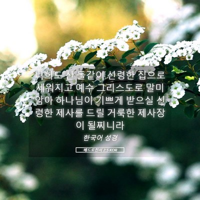Picture 05 - 베드로전서 2:5 KOR - 너희도 산 돌같이 신령한 집으로 - Bible Verse Picture