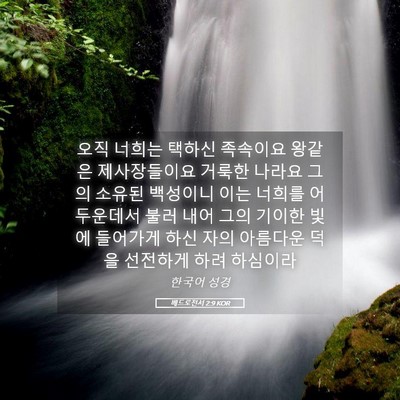 Picture 05 - 베드로전서 2:9 KOR - 오직 너희는 택하신 족속이요 왕같은 - Bible Verse Picture