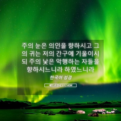 Picture 05 - 베드로전서 3:12 KOR - 주의 눈은 의인을 향하시고 그의 - Bible Verse Picture