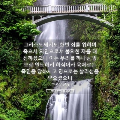 Picture 05 - 베드로전서 3:18 KOR - 그리스도께서도 한번 죄를 위하여 - Bible Verse Picture