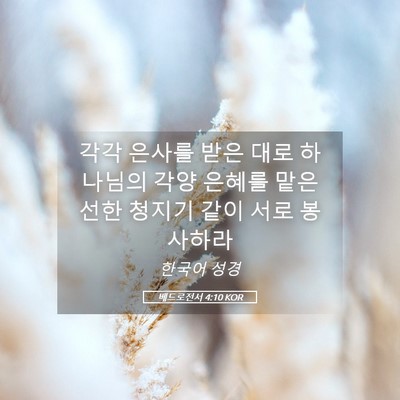 Picture 05 - 베드로전서 4:10 KOR - 각각 은사를 받은 대로 하나님의 - Bible Verse Picture