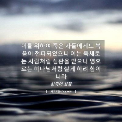 Picture 05 - 베드로전서 4:6 KOR - 이를 위하여 죽은 자들에게도 복음이 - Bible Verse Picture