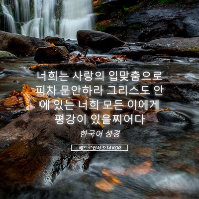 Picture 05 - 베드로전서 5:14 KOR - 너희는 사랑의 입맞춤으로 피차 - Bible Verse Picture