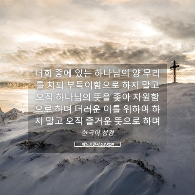 Picture 05 - 베드로전서 5:2 KOR - 너희 중에 있는 하나님의 양 무리를 - Bible Verse Picture