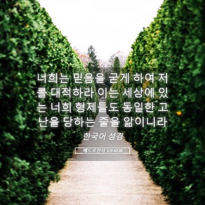 Picture 05 - 베드로전서 5:9 KOR - 너희는 믿음을 굳게 하여 저를 - Bible Verse Picture