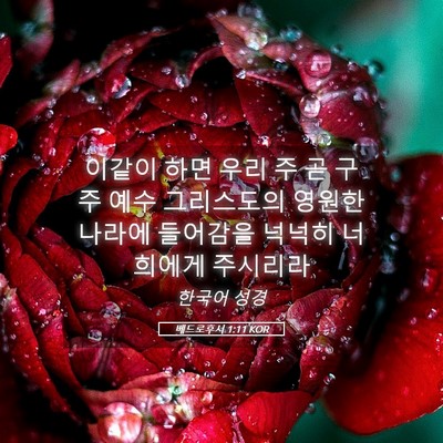 Picture 05 - 베드로후서 1:11 KOR - 이같이 하면 우리 주 곧 구주 예수 - Bible Verse Picture