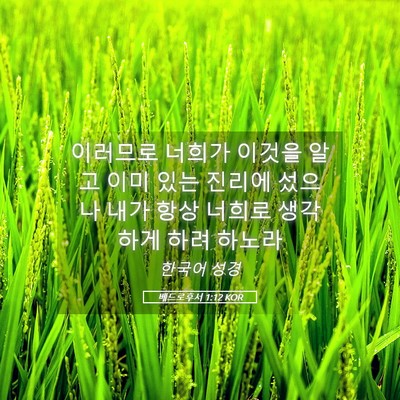 Picture 05 - 베드로후서 1:12 KOR - 이러므로 너희가 이것을 알고 이미 - Bible Verse Picture