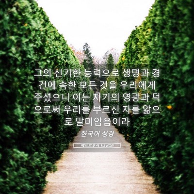Picture 05 - 베드로후서 1:3 KOR - 그의 신기한 능력으로 생명과 경건에 - Bible Verse Picture