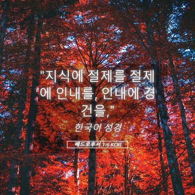 Picture 05 - 베드로후서 1:6 KOR - 