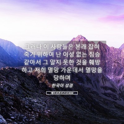 Picture 05 - 베드로후서 2:12 KOR - 그러나 이 사람들은 본래 잡혀 죽기 - Bible Verse Picture