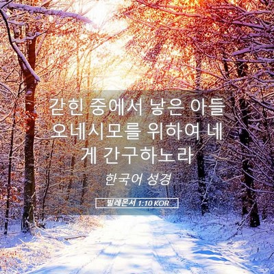 Picture 05 - 빌레몬서 1:10 KOR - 갇힌 중에서 낳은 아들 오네시모를 - Bible Verse Picture