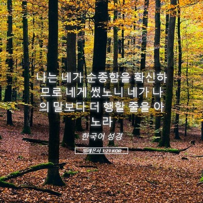 Picture 05 - 빌레몬서 1:21 KOR - 나는 네가 순종함을 확신하므로 네게 - Bible Verse Picture