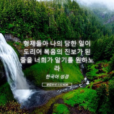 Picture 05 - 빌립보서 1:12 KOR - 형제들아 나의 당한 일이 도리어 - Bible Verse Picture