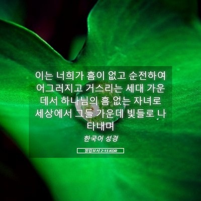 Picture 05 - 빌립보서 2:15 KOR - 이는 너희가 흠이 없고 순전하여 - Bible Verse Picture