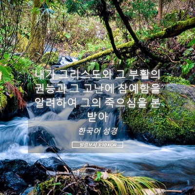 Picture 05 - 빌립보서 3:10 KOR - 내가 그리스도와 그 부활의 권능과 - Bible Verse Picture