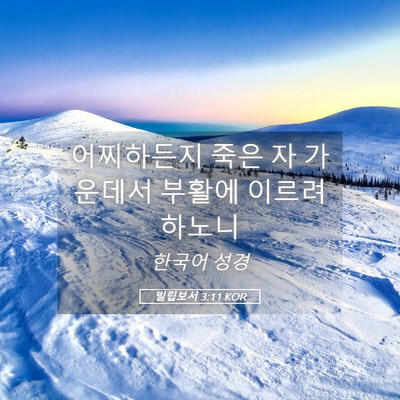 Picture 05 - 빌립보서 3:11 KOR - 어찌하든지 죽은 자 가운데서 부활에 - Bible Verse Picture