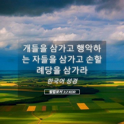 Picture 05 - 빌립보서 3:2 KOR - 개들을 삼가고 행악하는 자들을 - Bible Verse Picture