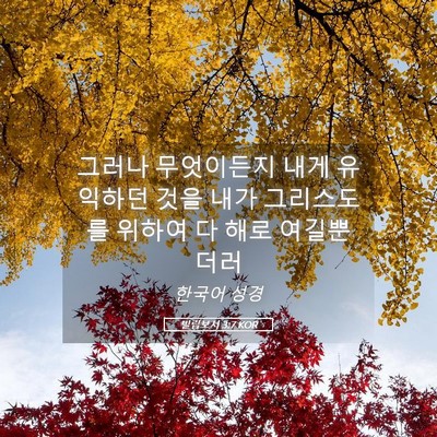 Picture 05 - 빌립보서 3:7 KOR - 그러나 무엇이든지 내게 유익하던 - Bible Verse Picture