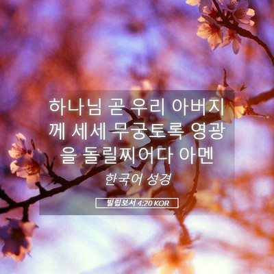 Picture 05 - 빌립보서 4:20 KOR - 하나님 곧 우리 아버지께 세세 - Bible Verse Picture