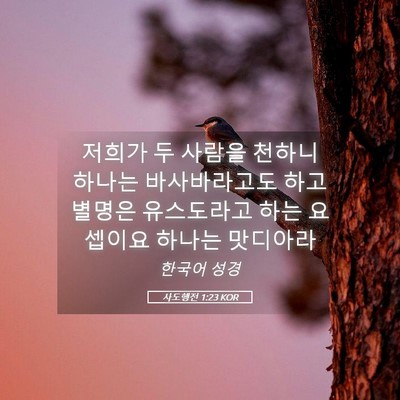 Picture 05 - 사도행전 1:23 KOR - 저희가 두 사람을 천하니 하나는 - Bible Verse Picture