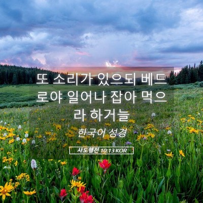 Picture 05 - 사도행전 10:13 KOR - 또 소리가 있으되 베드로야 일어나 - Bible Verse Picture
