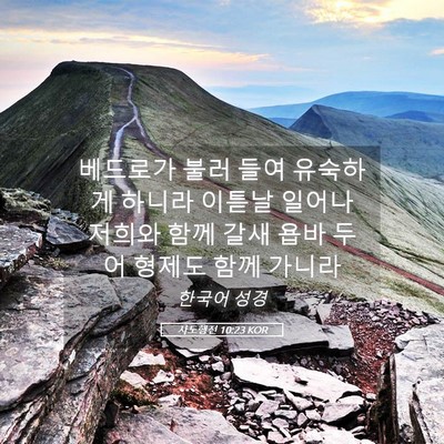 Picture 05 - 사도행전 10:23 KOR - 베드로가 불러 들여 유숙하게 하니라 - Bible Verse Picture