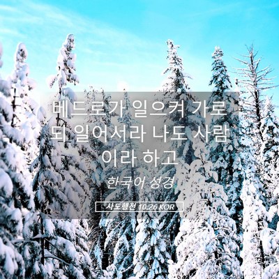 Picture 05 - 사도행전 10:26 KOR - 베드로가 일으켜 가로되 일어서라 - Bible Verse Picture