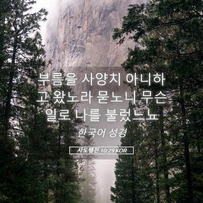 Picture 05 - 사도행전 10:29 KOR - 부름을 사양치 아니하고 왔노라 - Bible Verse Picture