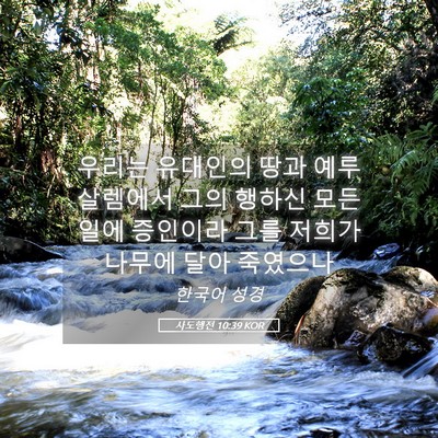 Picture 05 - 사도행전 10:39 KOR - 우리는 유대인의 땅과 예루살렘에서 - Bible Verse Picture