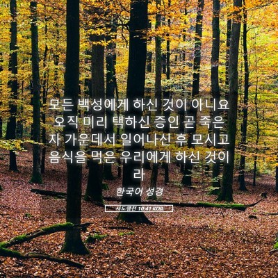 Picture 05 - 사도행전 10:41 KOR - 모든 백성에게 하신 것이 아니요 - Bible Verse Picture