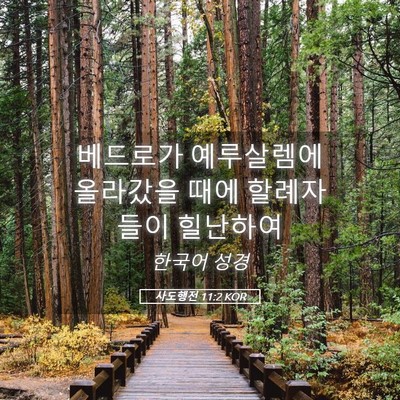Picture 05 - 사도행전 11:2 KOR - 베드로가 예루살렘에 올라갔을 때에 - Bible Verse Picture