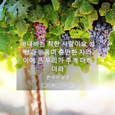 Picture 05 - 사도행전 11:24 KOR - 바나바는 착한 사람이요 성령과 - Bible Verse Picture