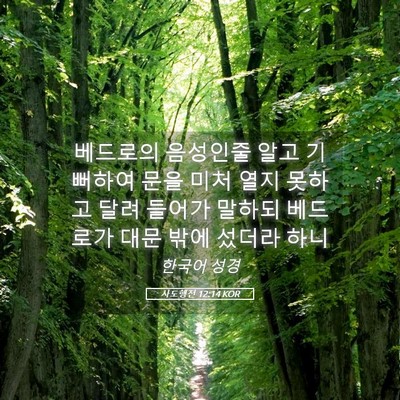 Picture 05 - 사도행전 12:14 KOR - 베드로의 음성인줄 알고 기뻐하여 - Bible Verse Picture